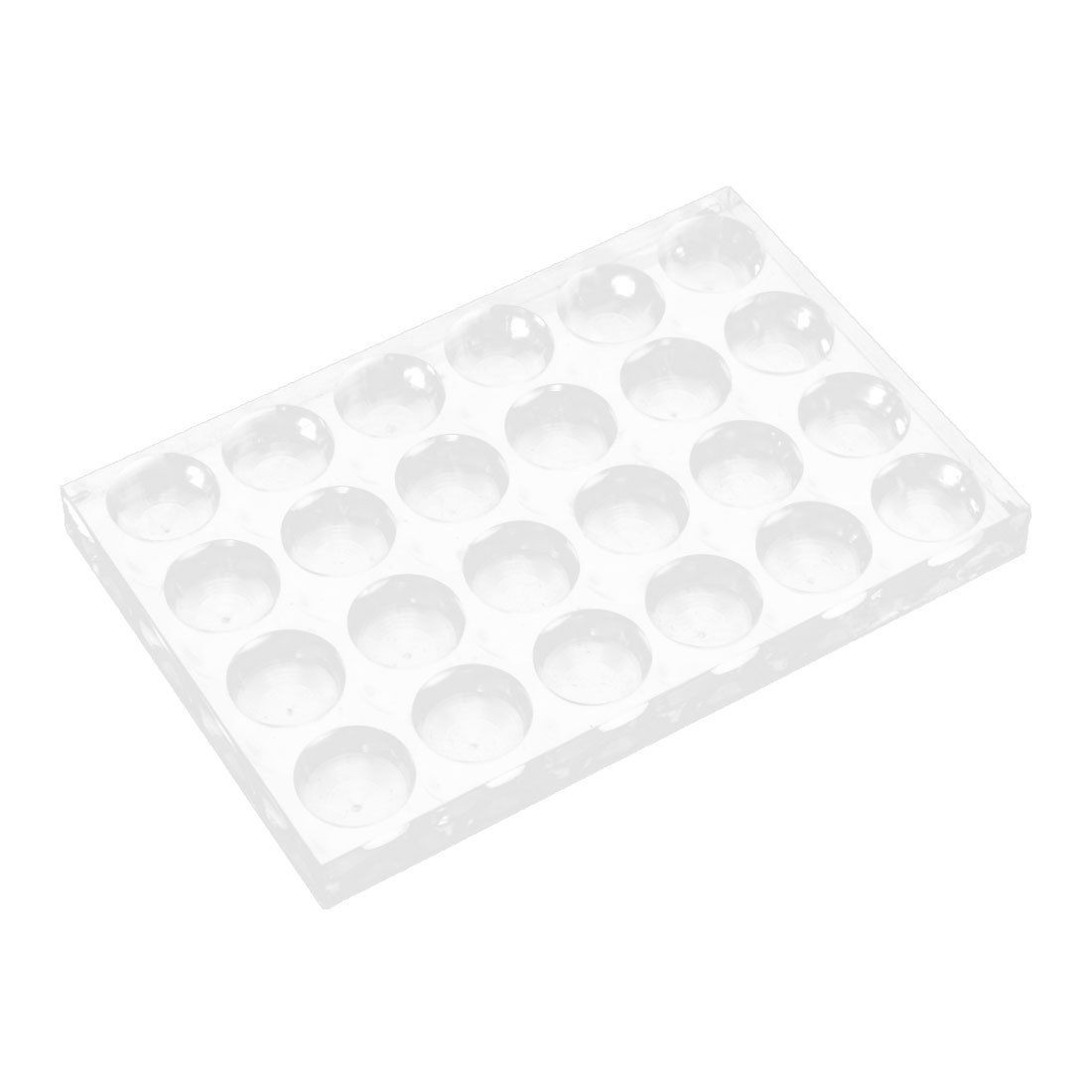 Rectangular Polystyrene 24 Well Tissue Cell Culture Cluster Plate Clear