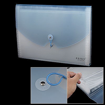 Light Blue Plastic 13-Slot Business Document Organizer