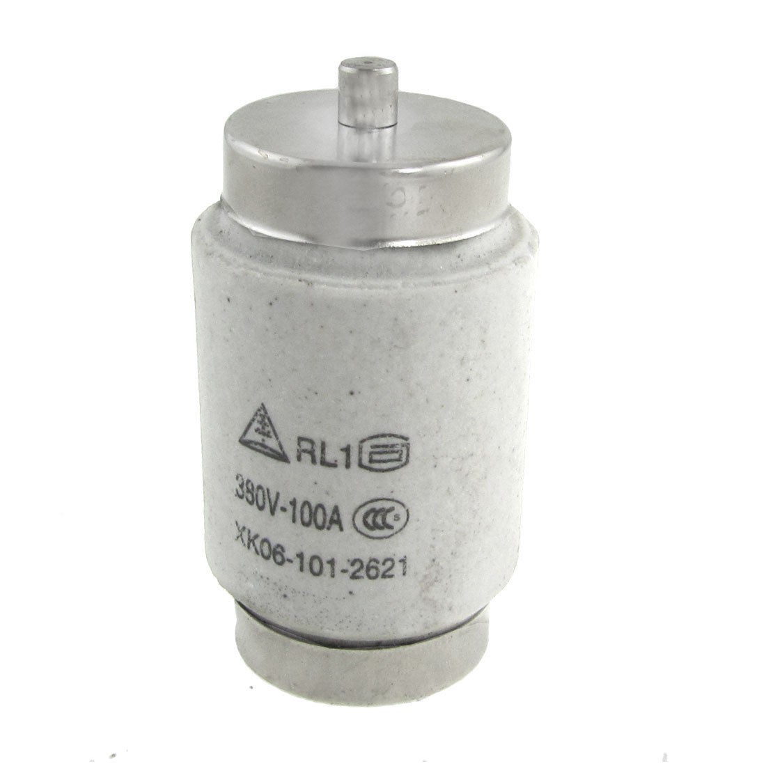 AC 380V 100A 61 x 32mm Screw Base Type Fuse Link RL1-100