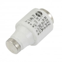 AC 500V 30A Screw Base Type Fuse Link 20mm x 50mm R022