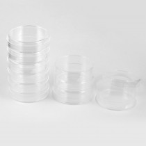 10 Pieces 90mm Diameter Cylinder Shape Clear Plastic Cell Culture Dish