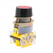 660VAC 10A Red Sign Ignition Momentary Push Button Switch 1 NO 1 NC LA39-11
