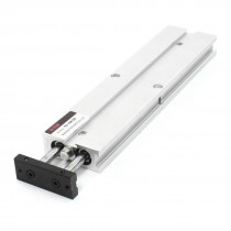 Dual Shaft 10 x 125 Magnet Attach Air Pneumatic Cylinder