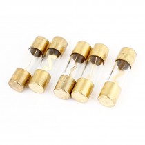 5 Pcs Gold Tone Clear Shell Audio AGU Safety Fuse 30A 12V for Auto Car