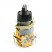 DPST 2 Pin Self Locking 2 Position Selector Pushbutton Switch 660V 10A