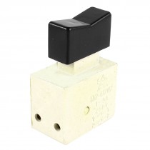 FA2-4/2W2 Plastic DPST Momentary Power Tool Trigger Button Switch AC 250V 5A