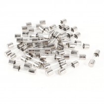 40 Pcs 250V 2Amp Fast Blow Type Glass Tube Fuses F2L250V 5mm x 20mm