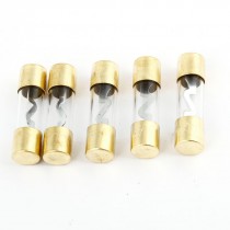 5 Pcs 60A Glass Tube Gold Tone Clear AGU Fuse for Car Audio