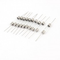 6mm x 30mm High Voltage Axial Glass Tube Fuses Holder 10A 250V 10 Pcs