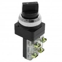 Panel Mounted DPST 3 Position Locking Push Button Switch AC 250V 6A