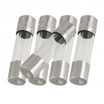 100 x Glass Tube Fuses 5x20mm 2A 250V Quick Fast Blow