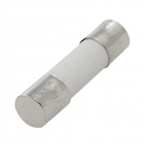 5mm x 20mm Cylindrical Caps Ceramic Fuses 250V 6A 100 Pcs