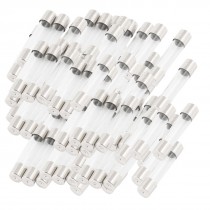 100 Pcs 250V 10A Fast Acting Glass Tube Fuses Fast Blow 6mm x 30mm