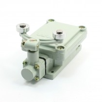 1NO 1NC SPDT Enclosed Case Double Swivel Roller Lever Arm Limit Switch
