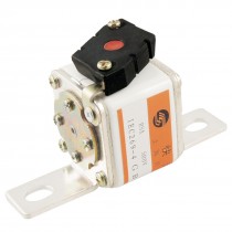 500V 125A White Ceramic Metal Short-circuit Overload Protection Fast Fuse
