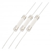 3pcs 250V 10A 6mm x 30mm Fast Blow Acting Axial Lead Ceramic Fuse