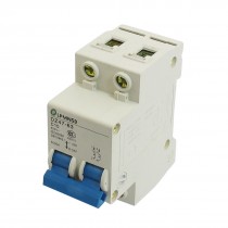 DZ47-63 C10 10 Amp 400VAC 6000A Breaking Capacity 2 Poles Circuit Breaker