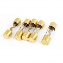 5 Pcs Gold Tone Clear AGU Glass Tube Fuses 9 x 37mm 100A 12V for Car