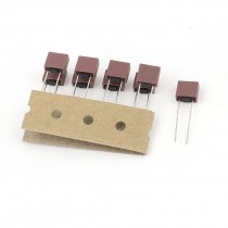 10 Pcs T2A 2A 250V TE5 5TE Miniature Micro Slow Blow Fuse
