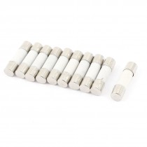 10Pcs 250V 315mA T315mA Slow Blow Ceramic Fuses Tubes 5mm x 20mm