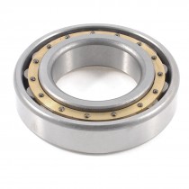 48mm x 82mm x 17mm Single Row Cylindrical Roller Wheel Bearing N209M