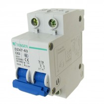 AC 400V 63A 2 Pole 2P Overload Protection Miniature Circuit Breaker