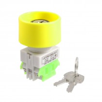 AC 660V 10A DPST 3 Position Keylock Bowl Shape Pushbutton Switch Robgu