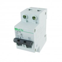 Overload Protector Circuit Breaker 2P 63A/400VAC 2.5kA