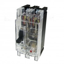 Transparent AC 380V 100A Amps 2P Moulded Case Circuit Breaker Yruog