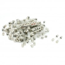100 Pcs 6mm x 30mm Fast Acting Type Glass Tube Fuses 20A 250V
