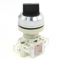 Panel Mounted AC 240V 3A DPST 2 Position Rotary Push Button Switch