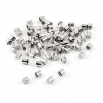 40 Pcs 250V 1Amp 5mmx50mm Fast Blow Type Quick Glass Tube Fuses
