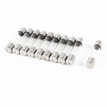 10 Pcs Fast Blow Type Glass Tube Fuses 6x30mm 250V 7A