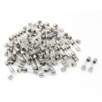 100 Pcs Electrical Component 250V 20A Glass Fuse Tube 5 x 20mm