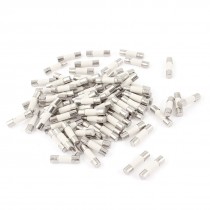 80Pcs 250V 1A 5mmx20mm Cylindrical Ceramic Tube Fuses Link
