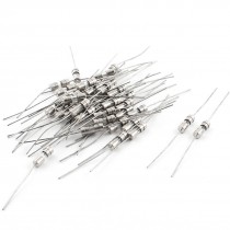 40 Pieces 11mm x 4mm Axial Lead Glass Fuses Tubes AC 250V 1A
