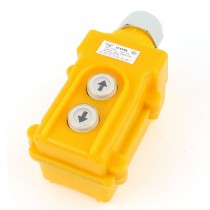 Hoist Crane Push Button Switch Up Down 2 Ways AC 250V 5A 500V 2A COB-21
