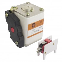 800V 10A Ceramic Insulator Protection Super Rapid Fuse Iolcv