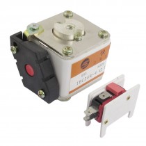 500V 50A RSA-P101N Short-circuit Overload Protection Super Rapid Fuse