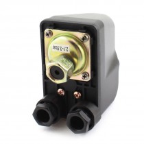 3 8PT Female 1 Port 1 Pole Automatic Self Priming Pressure Switch 2 1 3 5BAR
