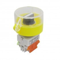 AC 660V 10A 1NO 1NC 2 Position Panel Mount Rotary Selector Push Button Switch