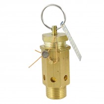 Gold Tone Metal 4/5" Dia Thread -5-120C 8MPa Air Pressure Relief Valve