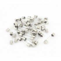 30pcs 6x30mm Quick Blow Fast Acting Cylindrical Glass Tube Fuse 2A 250V