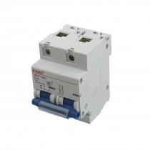 AC 400V 100A 2 Poles Overload Protection MCB Mini Circuit Breaker