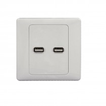 Dual Two USB Ports Wall Plate Coupler Outlet Socket Panel