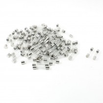 100 Pcs 250 Volts 10Amp Fast Blow Type Glass Tube Fuses 6 x 30mm