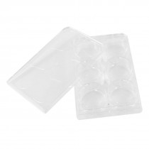 Clear Plastic Rectangle Shape 6 Compartments Cell Culture Plate