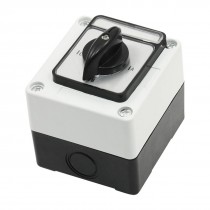 Plastic Housing Rotary Cam Control 2 Position Combination Switch