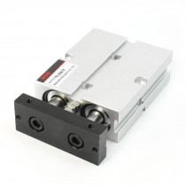 TTN Series Twin Rods 10mm Dia Guide Rod Pneumatic Air Cylinder 20mm x 15mm