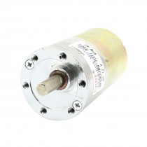 DFGB37RG-103i Cylinder Shape DC 12V Speed 40 RPM Geared Motor
